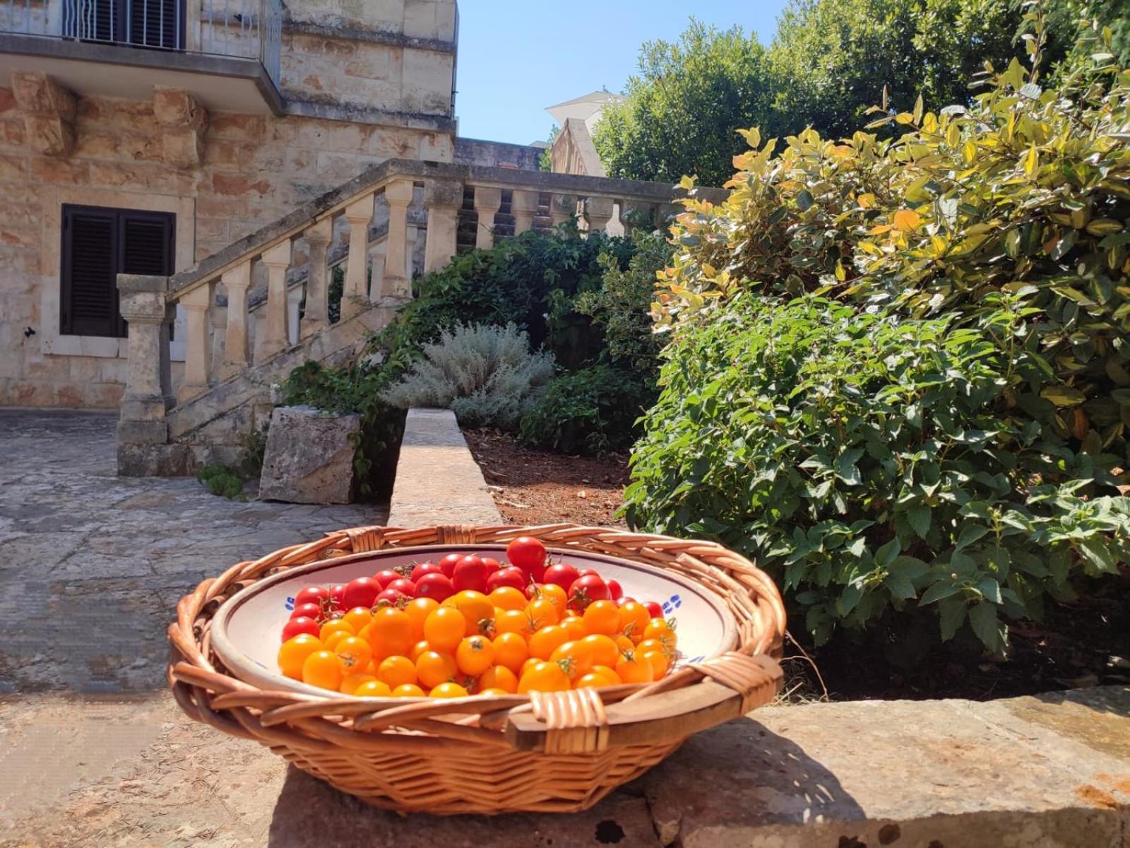 Villa Ostuni Monopoli Eksteriør billede